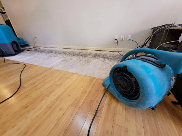 Professional Sewage Cleanup technician working in Portage, PA